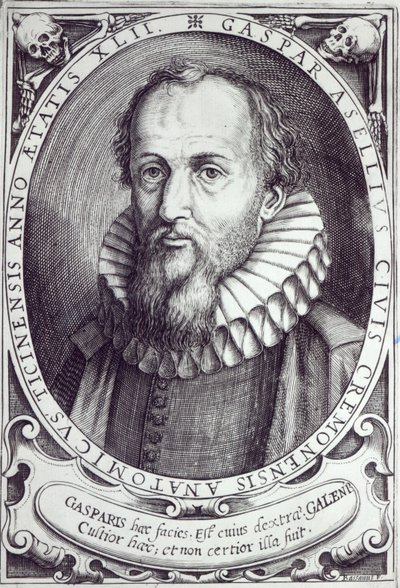 Gaspare Aselli von Cesare Bassano